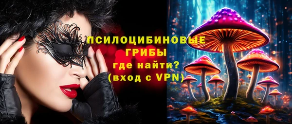 трава Билибино